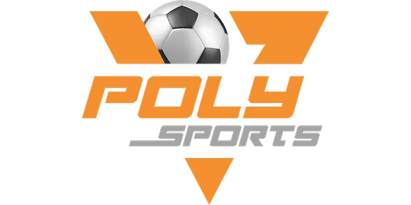 পলি কালার Logo